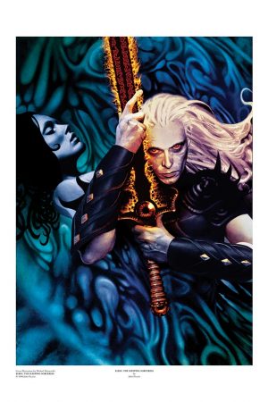 Elric: The Sleeping Sorceress | Deluxe Art Print by John Picacio